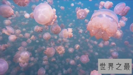 世界十大最奇特的湖泊，少女粉红色的湖你见过没？