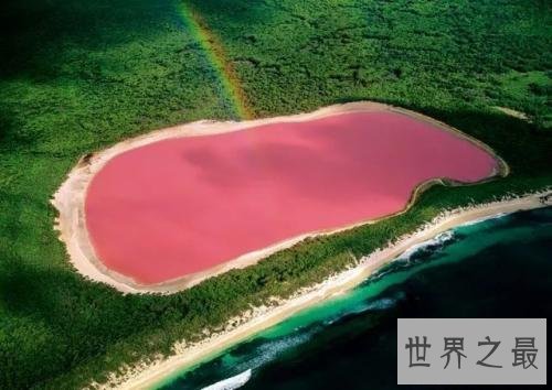 世界十大最奇特的湖泊，少女粉红色的湖你见过没？