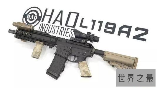 世界十大未来突击步枪，这把枪的杀伤力最高！