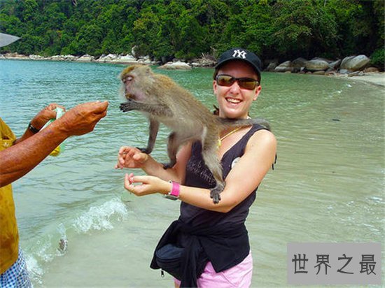 世界十大最著名的海滩旅游景点，这些美如画的海滩你都知道吗？