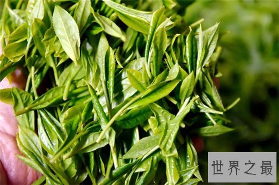 世界十大茶叶生产国，中国以1000130吨位列世界第一！
