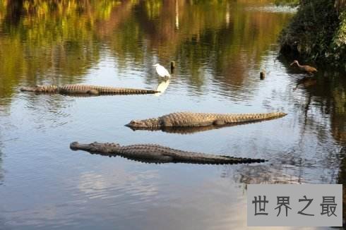 美国十大最受欢迎的主题公园，好莱坞环球影城最受欢迎