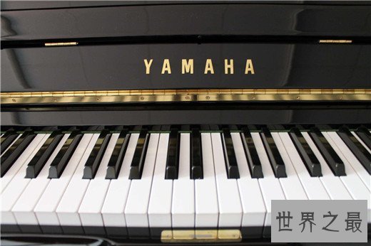 世界十大钢琴品牌，钢琴哪些牌子好？