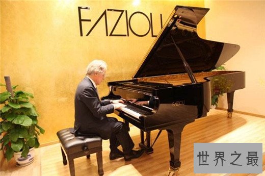 世界十大钢琴品牌，钢琴哪些牌子好？