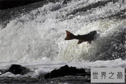 全球十大最冷的城市排行榜,哪个城市的温度最低?