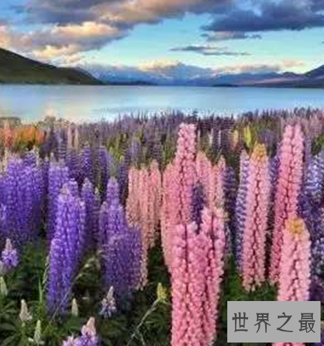 世界十大最安全的国家排行,你敢相信第一的国家是冰岛吗?