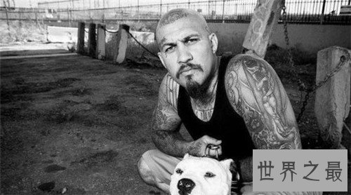 世界十大黑帮,日本黑帮也名列其中!