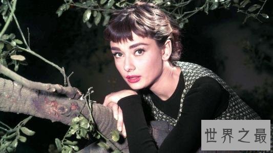 全球十大眼睛最美女星,她们的眼睛勾人魂魄!