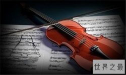 最贵的乐器排名，小小乐器价格高达千万元