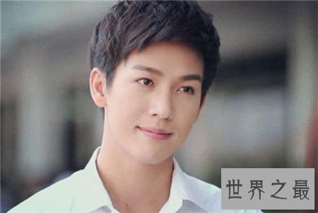 泰国十大男明星排行榜，长相帅气男人味十足