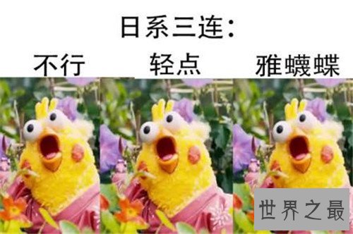十大网络神兽,草泥马达菲鸡法克鱿是什么意思?