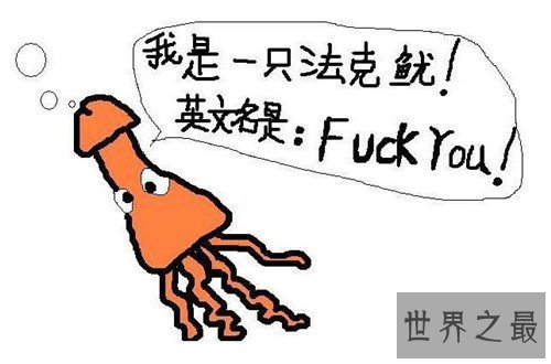 十大网络神兽,草泥马达菲鸡法克鱿是什么意思?