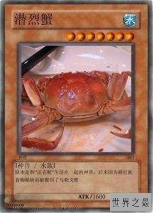 十大网络神兽,草泥马达菲鸡法克鱿是什么意思?