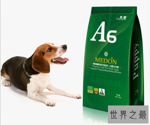 世界十大狗粮品牌,让小狗可以放心食用的狗粮。