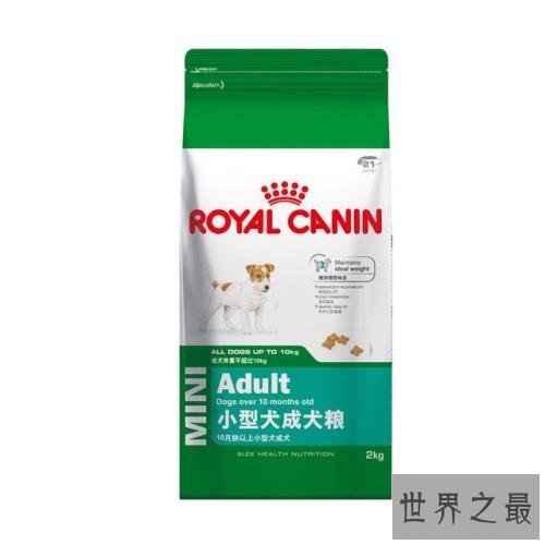 世界十大狗粮品牌,让小狗可以放心食用的狗粮。