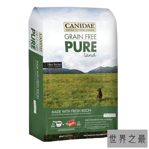 世界十大狗粮品牌,让小狗可以放心食用的狗粮。