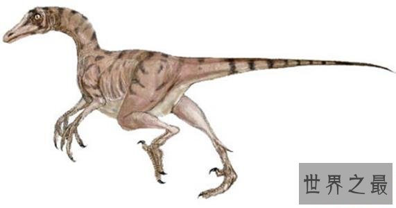 世界十大最危险的恐龙，没想到还有比它还凶猛的恐龙！