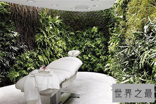 世界上十大最奢华航空公司，有机会你也要去体验一下