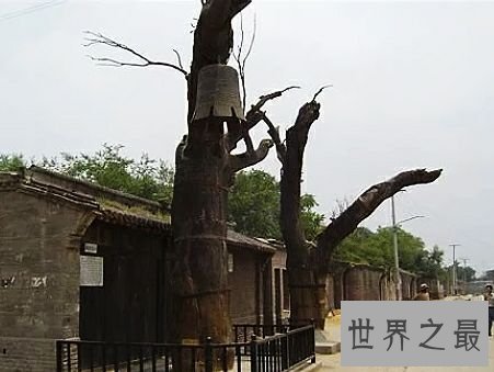 战争电影排行榜前十名，每一部都是经典。