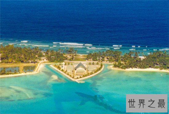 世界上最胖的十个国家排行，墨西哥的肥胖率竟高达32%