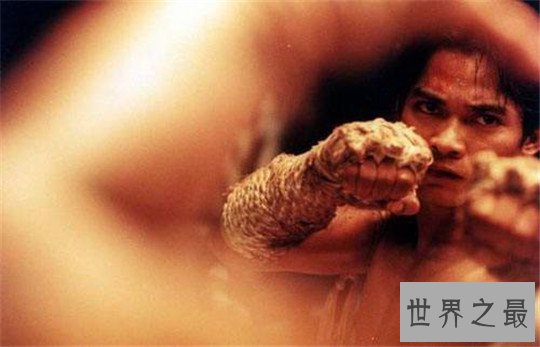 全球10大功夫电影排行榜，龙争虎斗让人血脉贲张