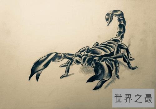 世界上最邪的十大纹身，最后一种纹身很少有人敢纹。