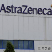 世界十大制药公司，这些公司的多数来自英国。