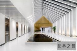 世界十大科技公司，中国阿里腾讯上榜