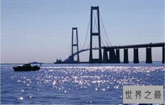 世界十大最长的桥,最长的桥有多长呢。