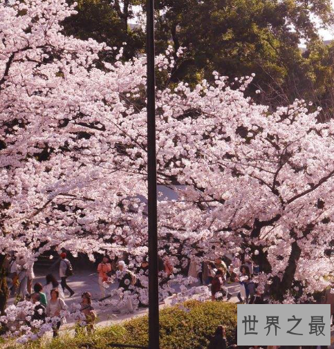 世界上摩天楼最多的城市排行榜,第一名竟然时香港