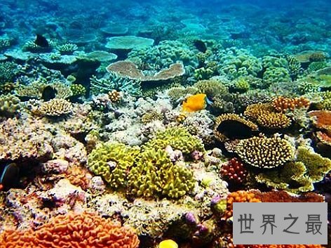 世界上最美的十个地方，每一个都好似仙境。