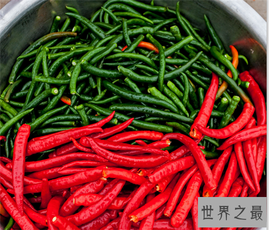 世界十大最辣辣椒排行榜,辣到你怀疑人生