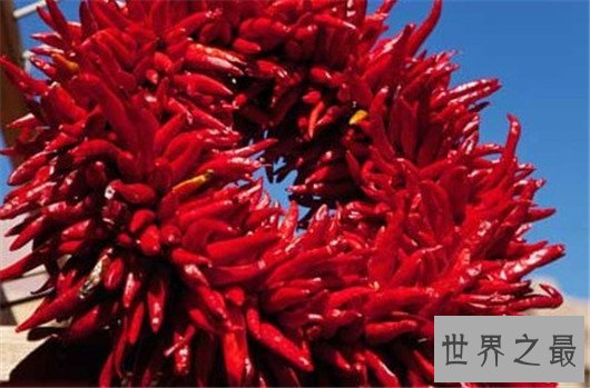 世界十大最辣辣椒排行榜,辣到你怀疑人生