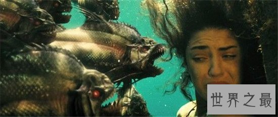 世界十大食肉动物，食肉之王——老虎 了解一下