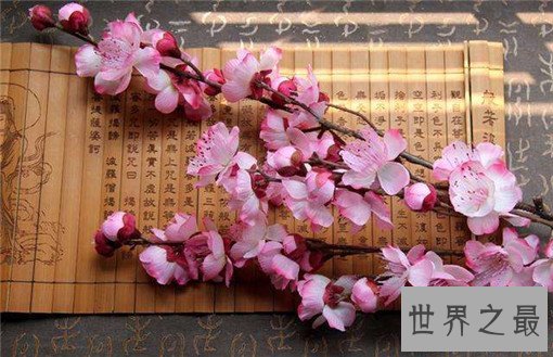 世界十大名花，世界十大名花有哪些（附花语）