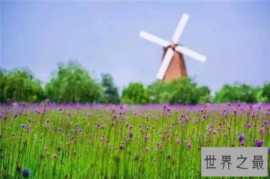 世界10大名岛排行榜，大溪地简直美得不像话