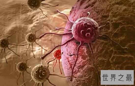 世界十大恐怖病毒排行榜，让人听了名字就害怕。