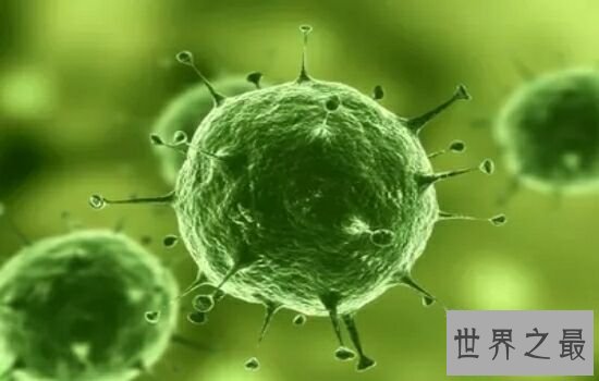 世界十大恐怖病毒排行榜，让人听了名字就害怕。