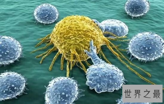 世界十大恐怖病毒排行榜，让人听了名字就害怕。