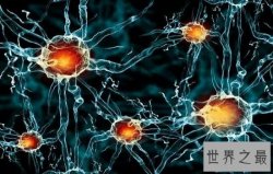 世界十大恐怖病毒排行榜，让人听了名字就害怕。