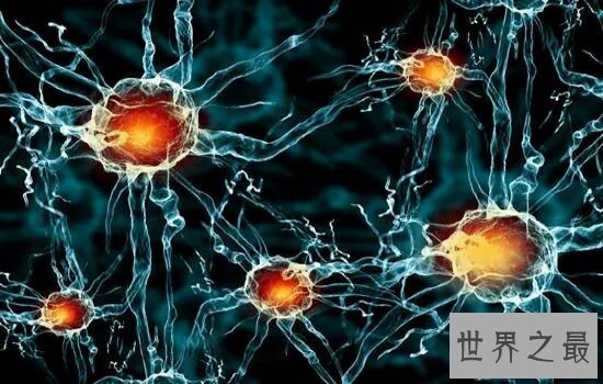 世界十大恐怖病毒排行榜，让人听了名字就害怕。