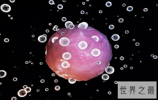 世界十大恐怖病毒排行榜，让人听了名字就害怕。