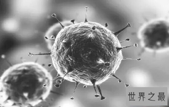 世界十大恐怖病毒排行榜，让人听了名字就害怕。