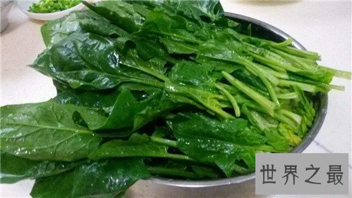 十大滋养女人的食物排行榜，好气色吃出来