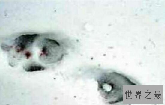 世界十大恐怖事件，哪一个更令你心惊胆颤呢。