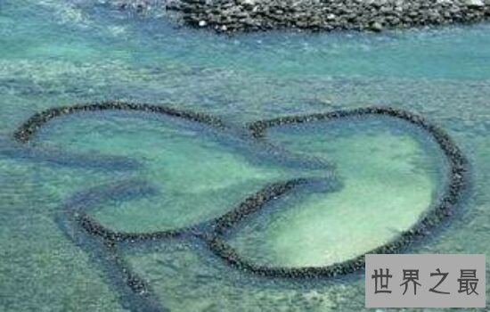 世界十大恐怖事件，哪一个更令你心惊胆颤呢。