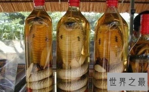 全球十大恶心食品，活蛆奶酪了解一下