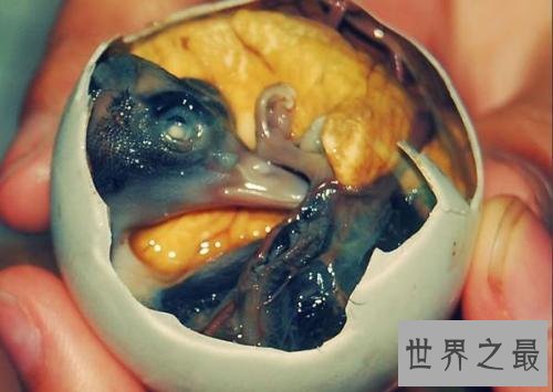 全球十大恶心食品，活蛆奶酪了解一下