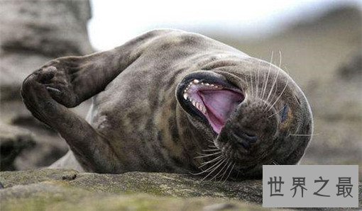 最新减压法TOP10，彻底缓解身体疲劳