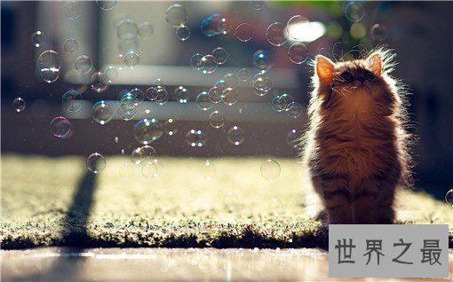 最新减压法TOP10，彻底缓解身体疲劳